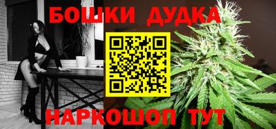 трава Кингисепп