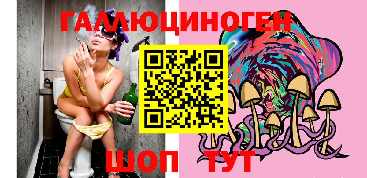купить наркотики сайты  Галлюциногенные грибы Psilocybine cubensis  Вход с VPN  Лосино-Петровский  Псилоцибиновые грибы Psilocybine cubensis 