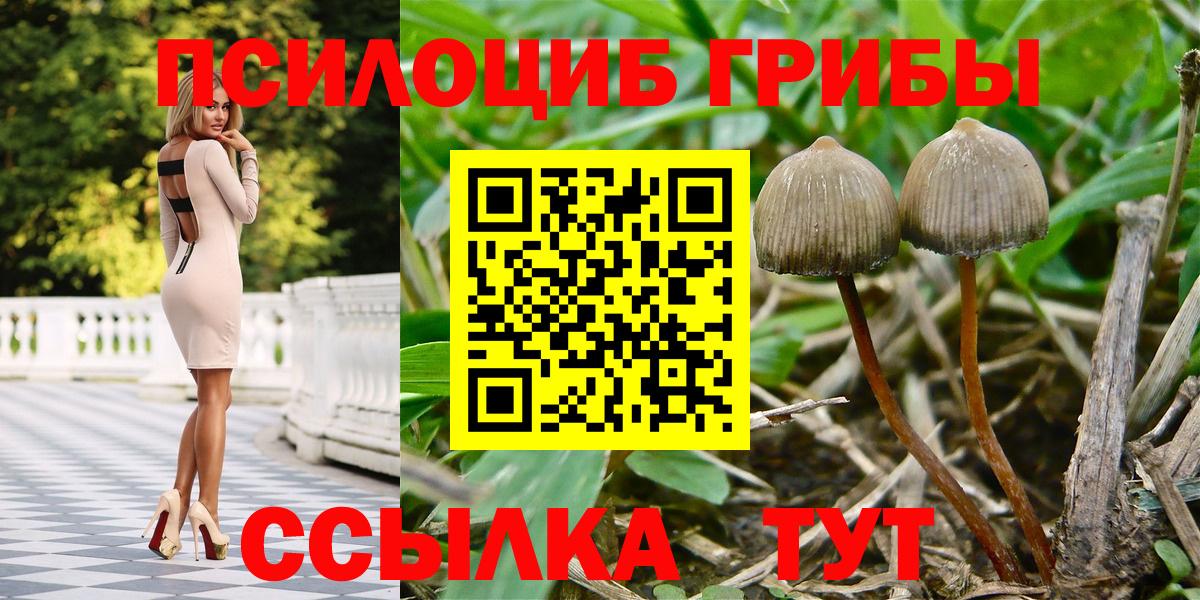 Галлюциногенные грибы MAGIC MUSHROOMS Лосино-Петровский